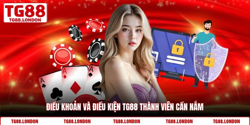 Điều khoản và điều kiện TG88 thành viên cần nắm
